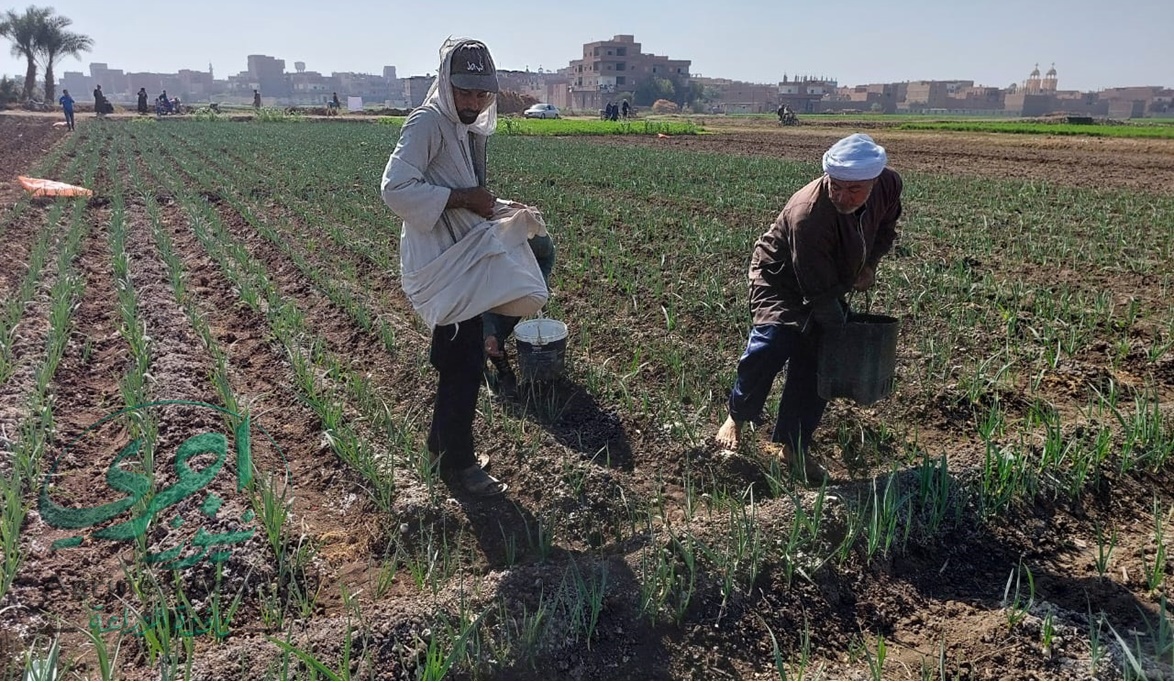وزير الزراعة: أسعار توريد الأسمدة للمزارعين لن تتأثر بزيادة سعر الغاز